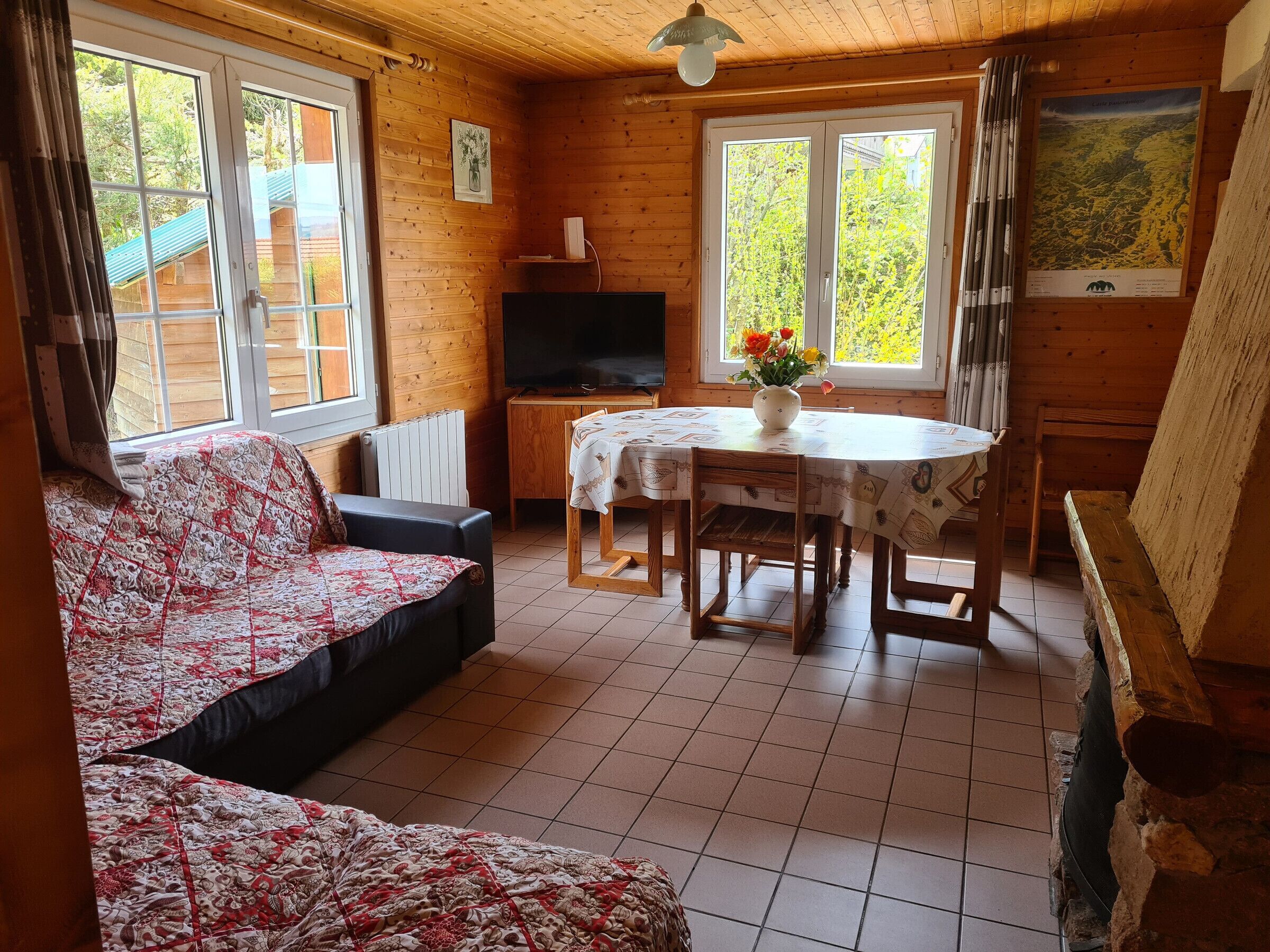 Téléviseur, foyer