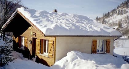 Chalet confortable avec cheminée proche de La Bresse-Hohneck, idéal pour famille et amis.