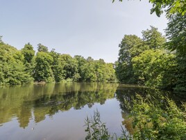 Un río tranquilo rodeado de abundante vegetación.