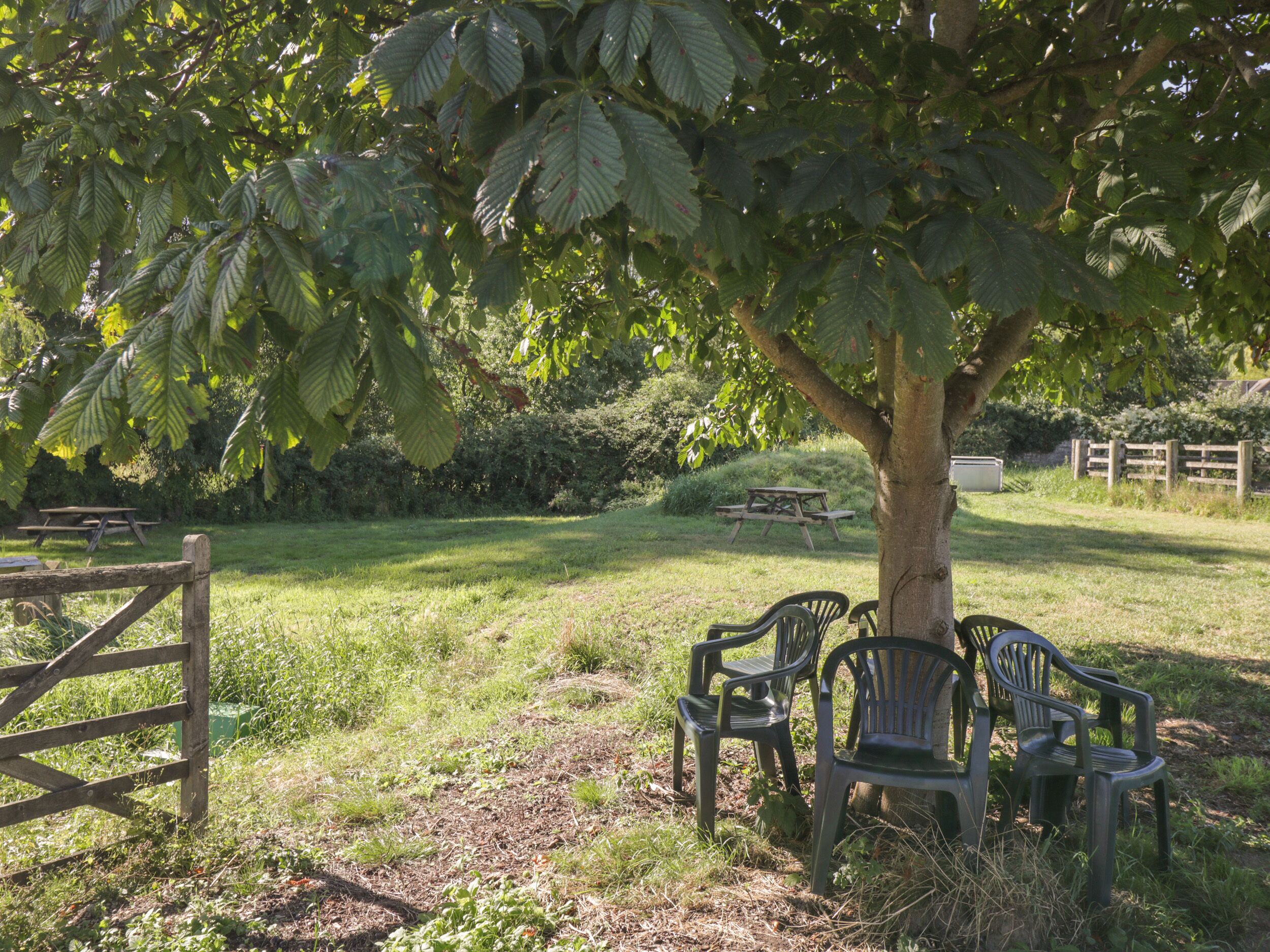 Un área de picnic con una mesa de madera y bancos bajo un árbol.