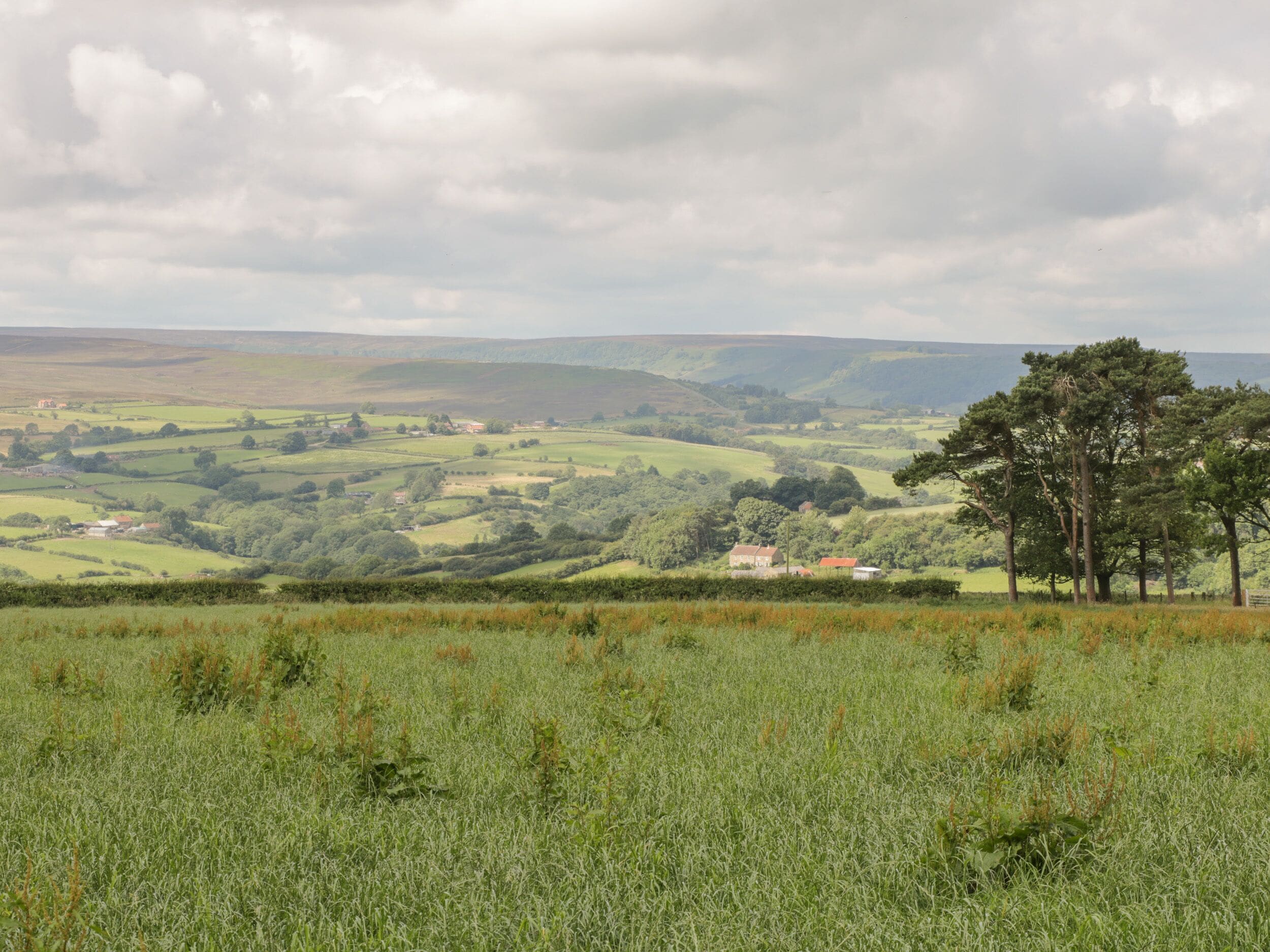 A rural landscape with rolling hills, scattered trees, and a few buildings in the distance.