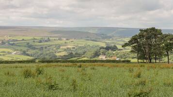 A rural landscape with rolling hills, scattered trees, and a few buildings in the distance.