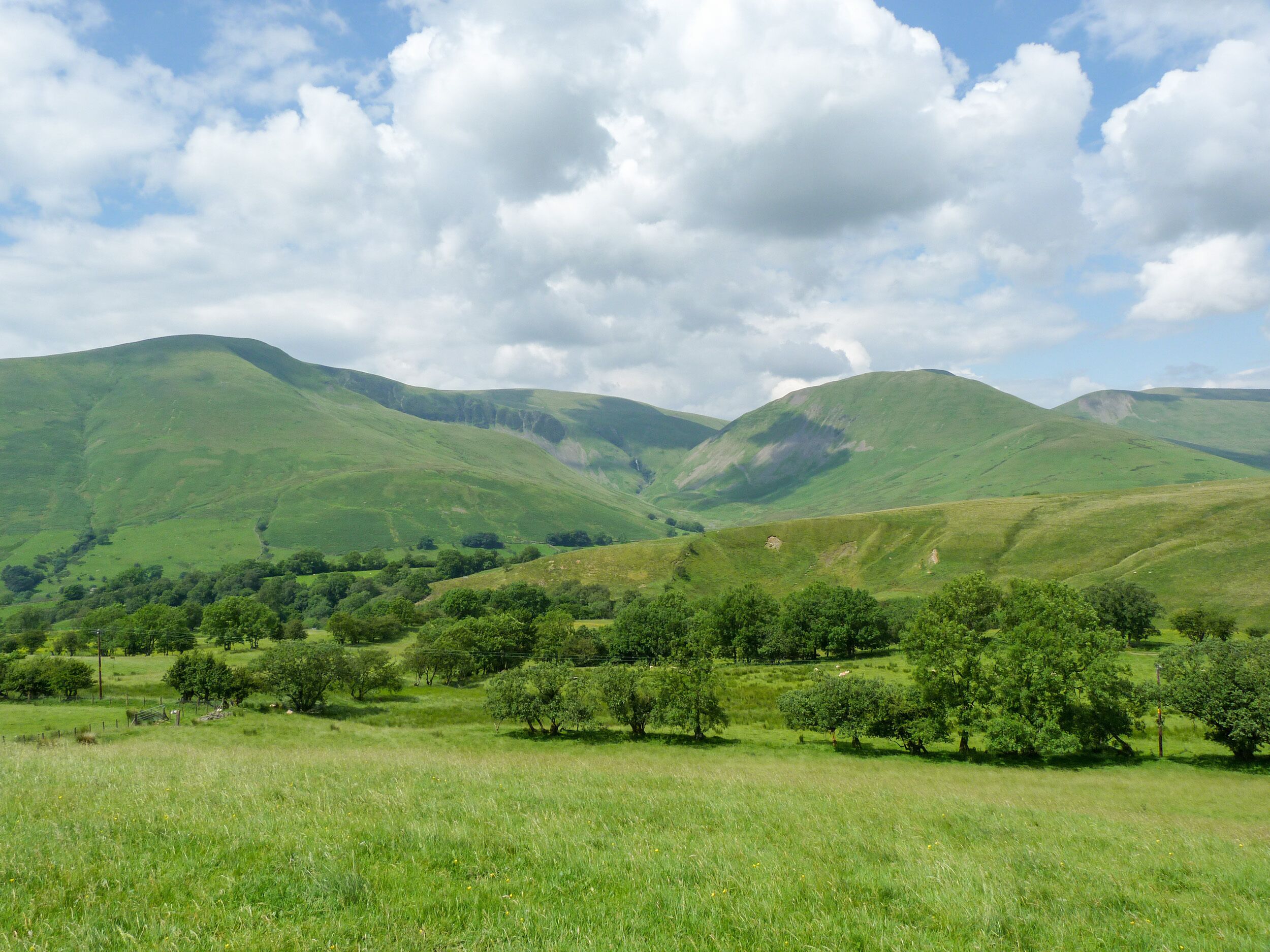 A panoramic view of a lush green valley with rolling hills and scattered trees.