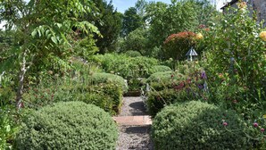 A garden pathway leading to a building with a stone wall, surrounded by various shrubs and flowering plants. - Yew Tree (Penrith)