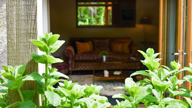 A cozy living room with a sofa and a coffee table, a window with a view of greenery, and a wooden pillar. - Yew Tree (Penrith)
