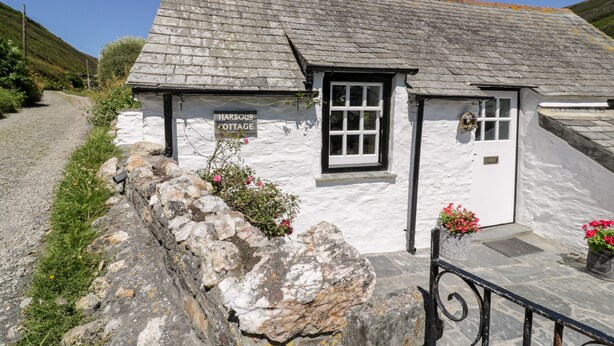 A white cottage with a stone wall and a sign reading "Harbour Cottage." - Harbour Cottage (Boscastle)