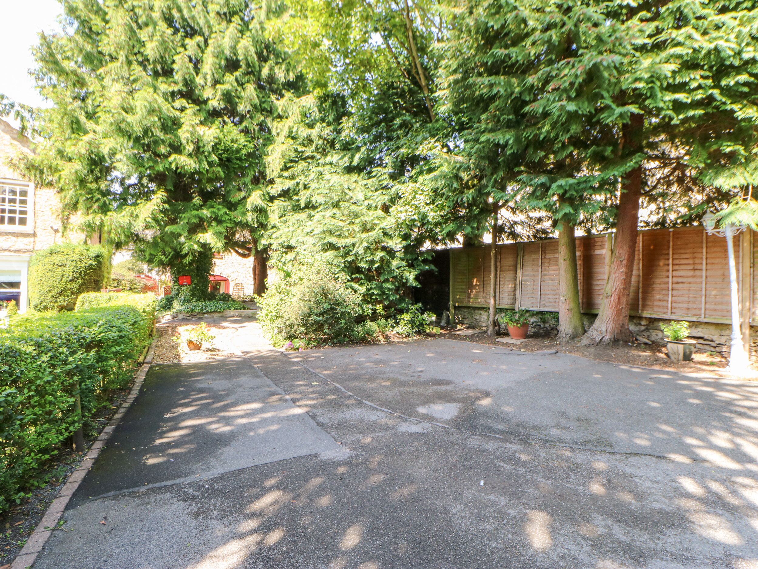 A residential driveway with a paved surface, surrounded by lush greenery and trees.
