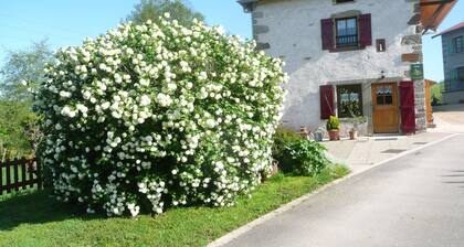 Cosy Cottage with Fireplace, Terrace & River View - Near Vittel Spa Towns