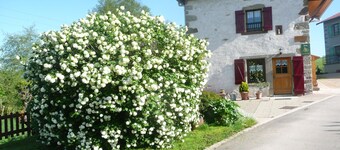 Cosy Cottage with Fireplace, Terrace & River View - Near Vittel Spa Towns