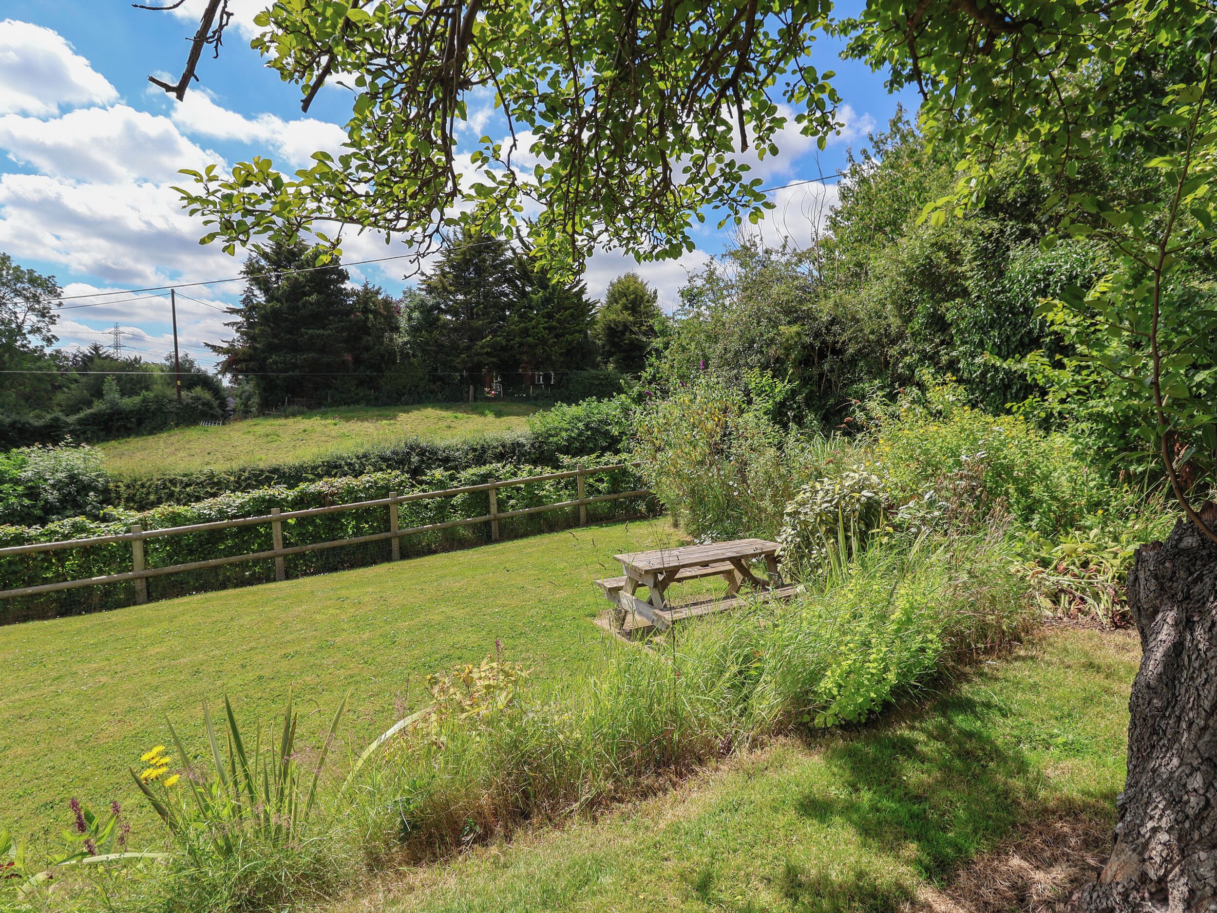 A grassy area with a wooden bench and a wooden fence.