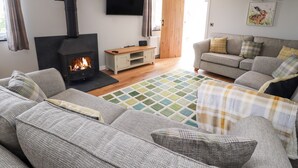 A living room with a fireplace, sofa, and a television. - Delfryn (Denbigh)