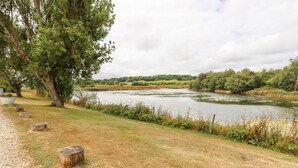 A riverside path with a gravel bed, wooden stumps, and a large tree. - Buddleia Cottage (Seaview)