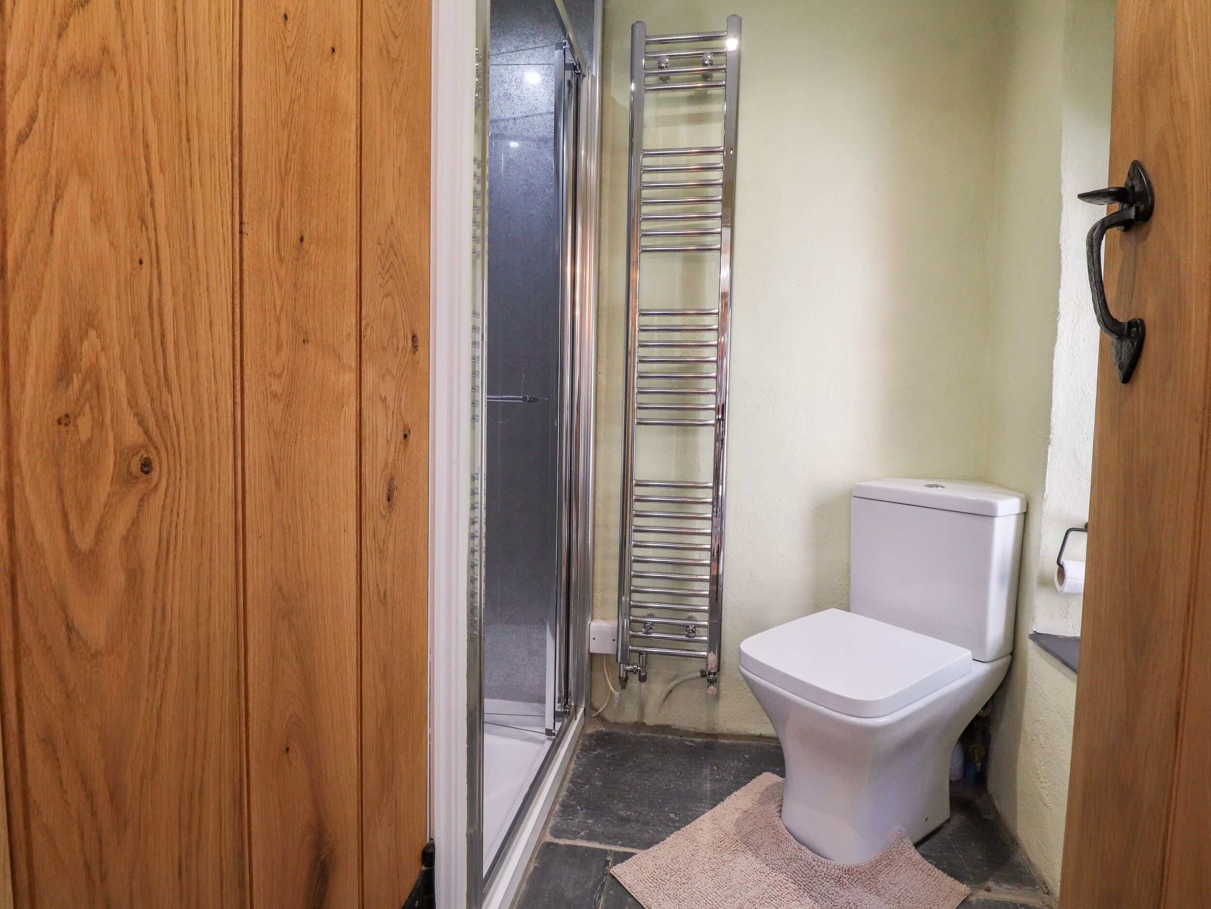 A bathroom with a wooden door, a glass shower enclosure, a white toilet, and a metal towel rack.