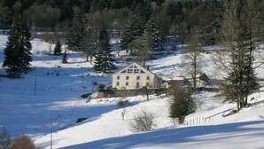 Eksteriør