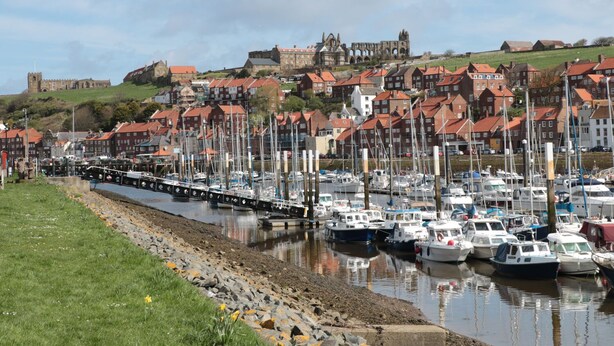 A marina with boats docked, a grassy area, and buildings in the background. - White Goose Cottage (Whitby)