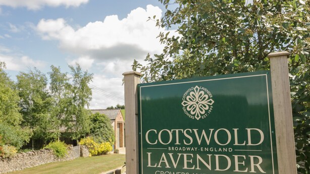 Une enseigne pour Cotswold Lavender Growers and Distillers.