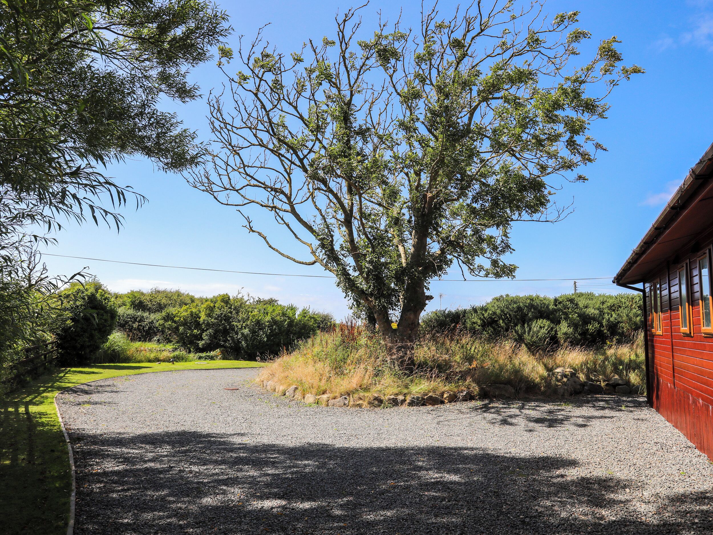 A gravel driveway leading to a red building with a large tree in the center.