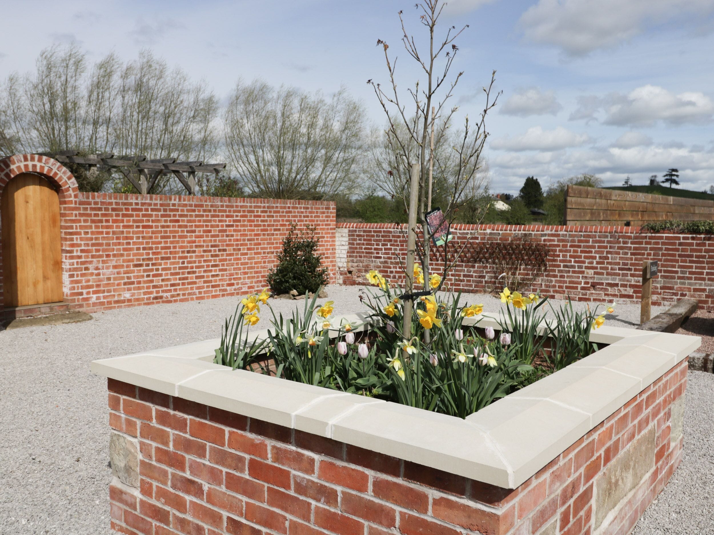 Un bac à fleurs en briques orné de jonquilles, une porte en bois et un mur en briques avec une pergola en bois en arrière-plan.