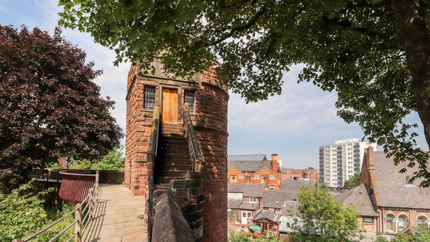 A stone staircase leading to a wooden door, surrounded by greenery and buildings in the background. - Tower View Cottage (Chester)