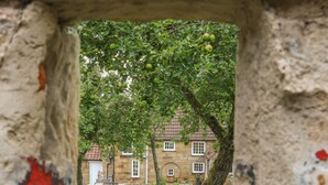 Un edificio de piedra con techo de tejas rojas, césped y un árbol con manzanas verdes.