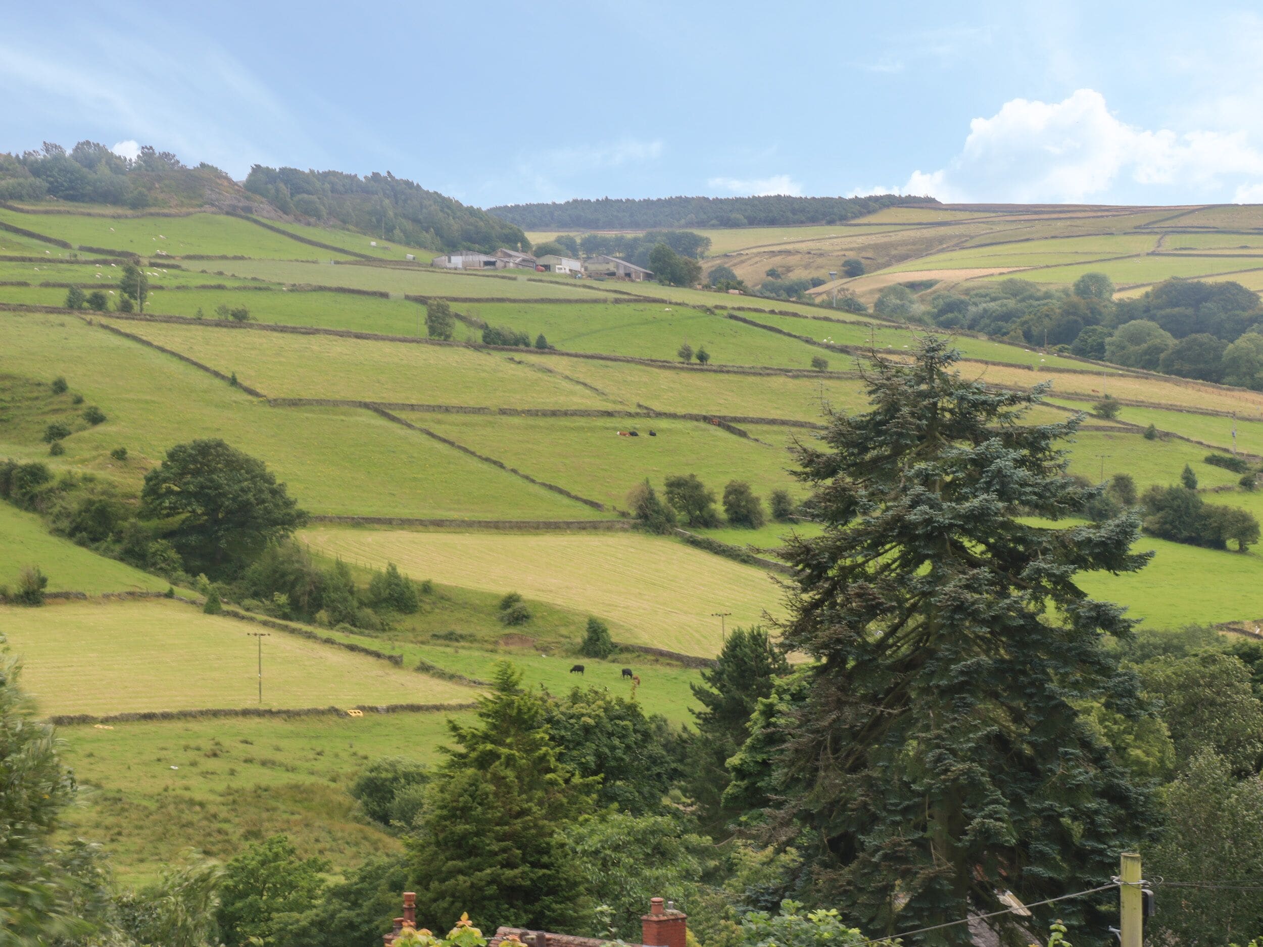 A rural landscape with rolling hills, scattered trees, and a few buildings.