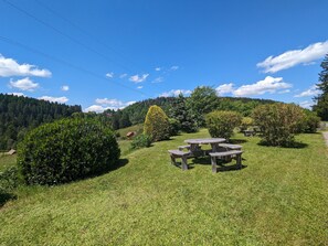 Restauration en plein air