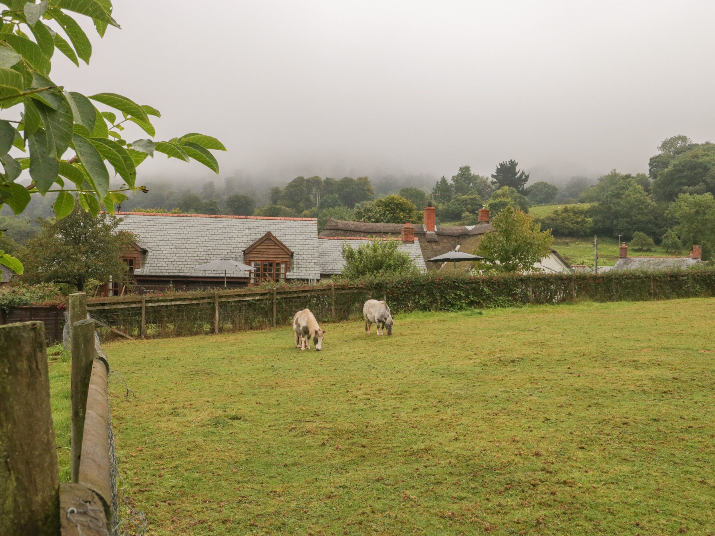 Ländliche Landschaft mit einem grasbewachsen Feld, einem Holzzaun und einem Haus mit einem Strohdach.