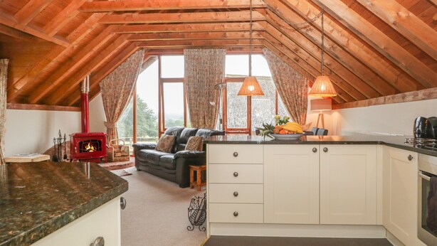 A cozy attic room with a wooden ceiling, a fireplace, a sofa, and a kitchen area. - Flora's Barn (Taunton)
