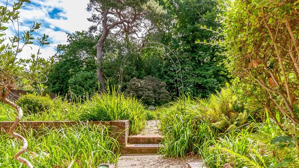Un escalier en pierre mène à un jardin luxuriant, parsemé de verdure et d’arbres.