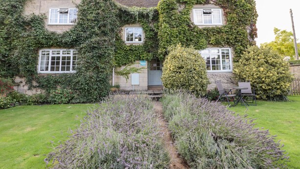 Une maison aux murs recouverts de lierre et un jardin où poussent des plants de lavande.