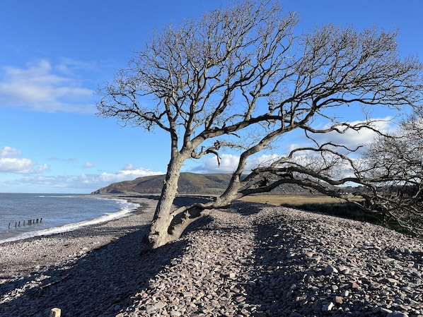 Cottage | Beach | Beach nearby
