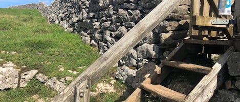 平房 | 內部