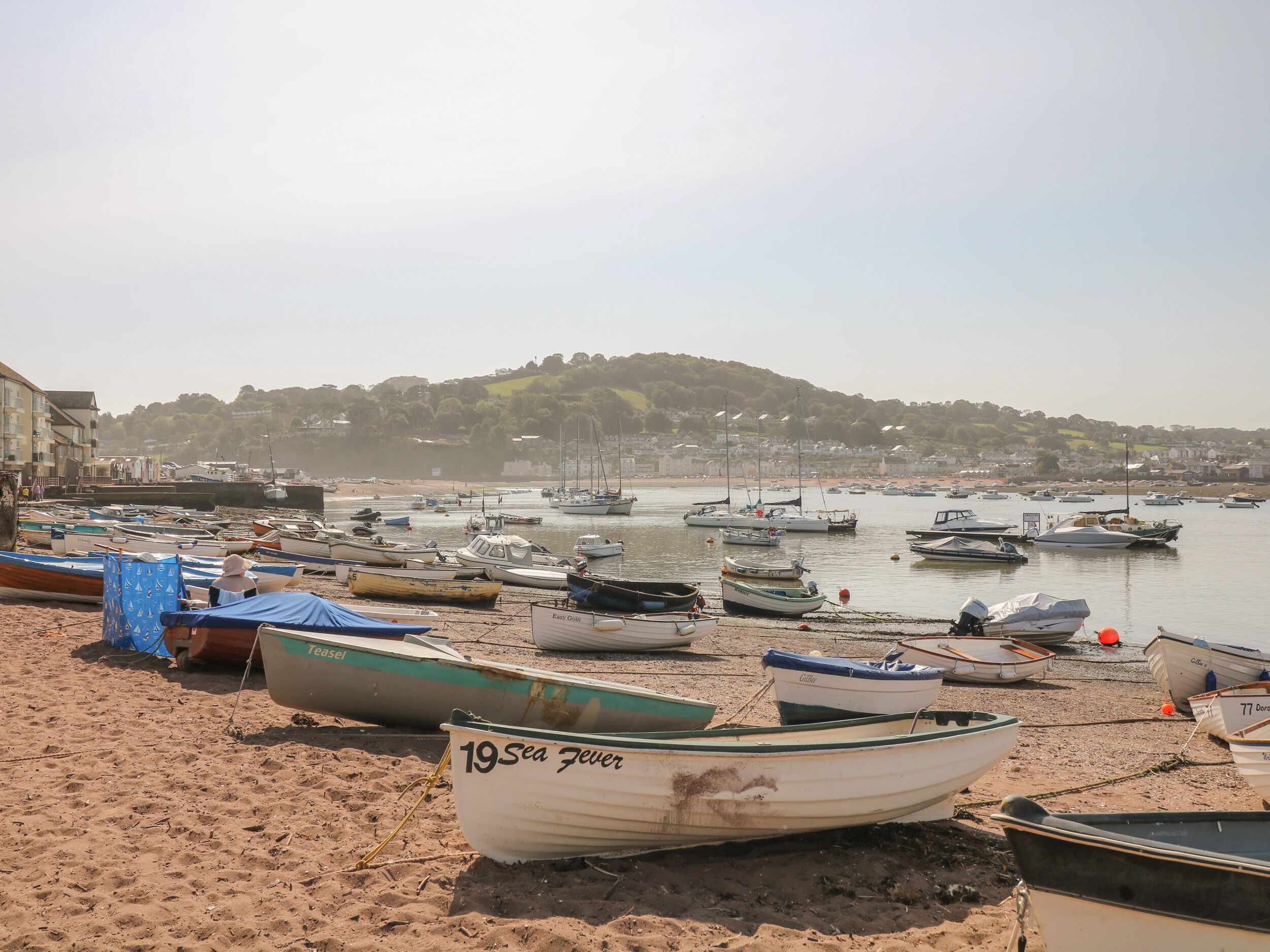 A beach with numerous boats docked and a sandy shore.