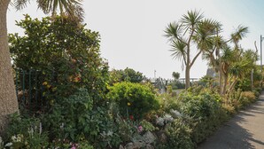 Een pad omzoomd met diverse beplanting en een stenen muur.