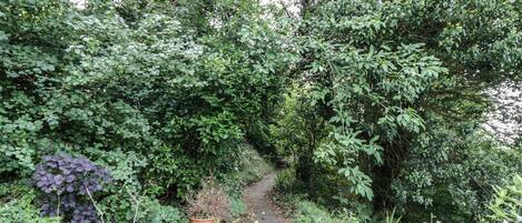 村舍 | 住宿内部