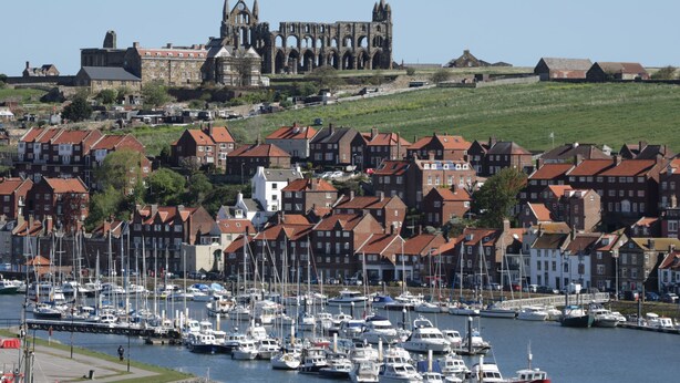 A coastal town with a historic church and marina. - Wren (Scarborough)