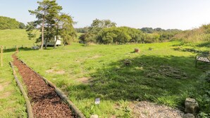 A rural landscape with a dirt path, a small white building, and a large tree. - Wren (Scarborough)