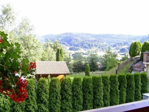 Gîte spacieux et confortable avec terrasse, proche activités montagne, à Ferdrupt