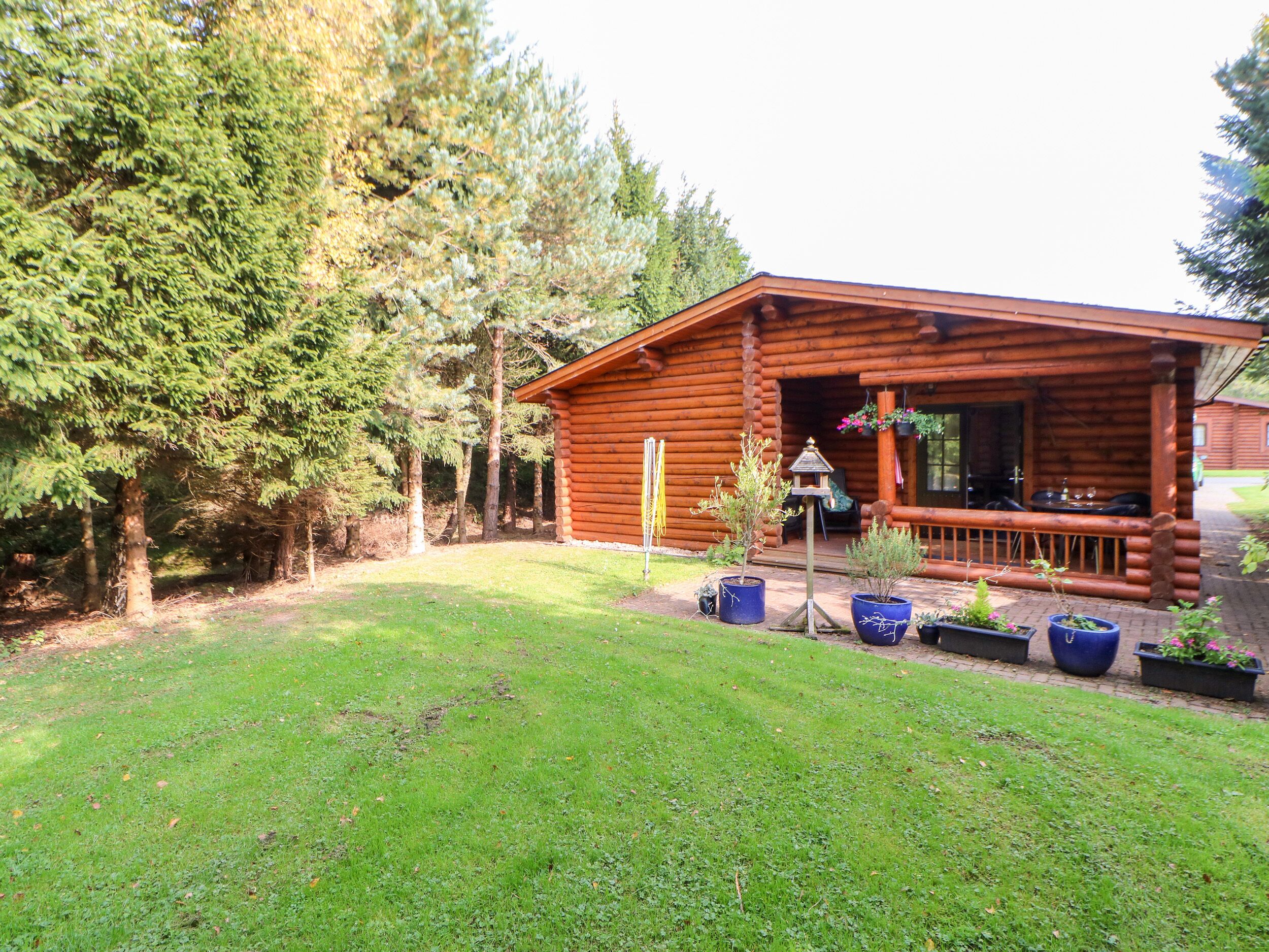 A log cabin with a porch, surrounded by a grassy yard and tall trees.