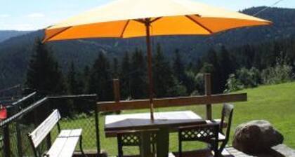 Gßte paisible avec garage, terrasse et Wifi prÚs du lac de Gérardmer