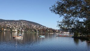 A calm lake with boats, a tree on the right, and a hill with buildings in the background.
