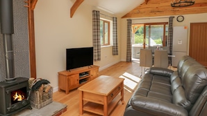 A cozy living room with a fireplace, a television, a sofa, and a dining table.