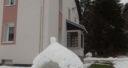 GĂźte en pleine nature, proche de La Bresse avec activitĂ©s familiales, terrasse et poĂȘle Ă bois