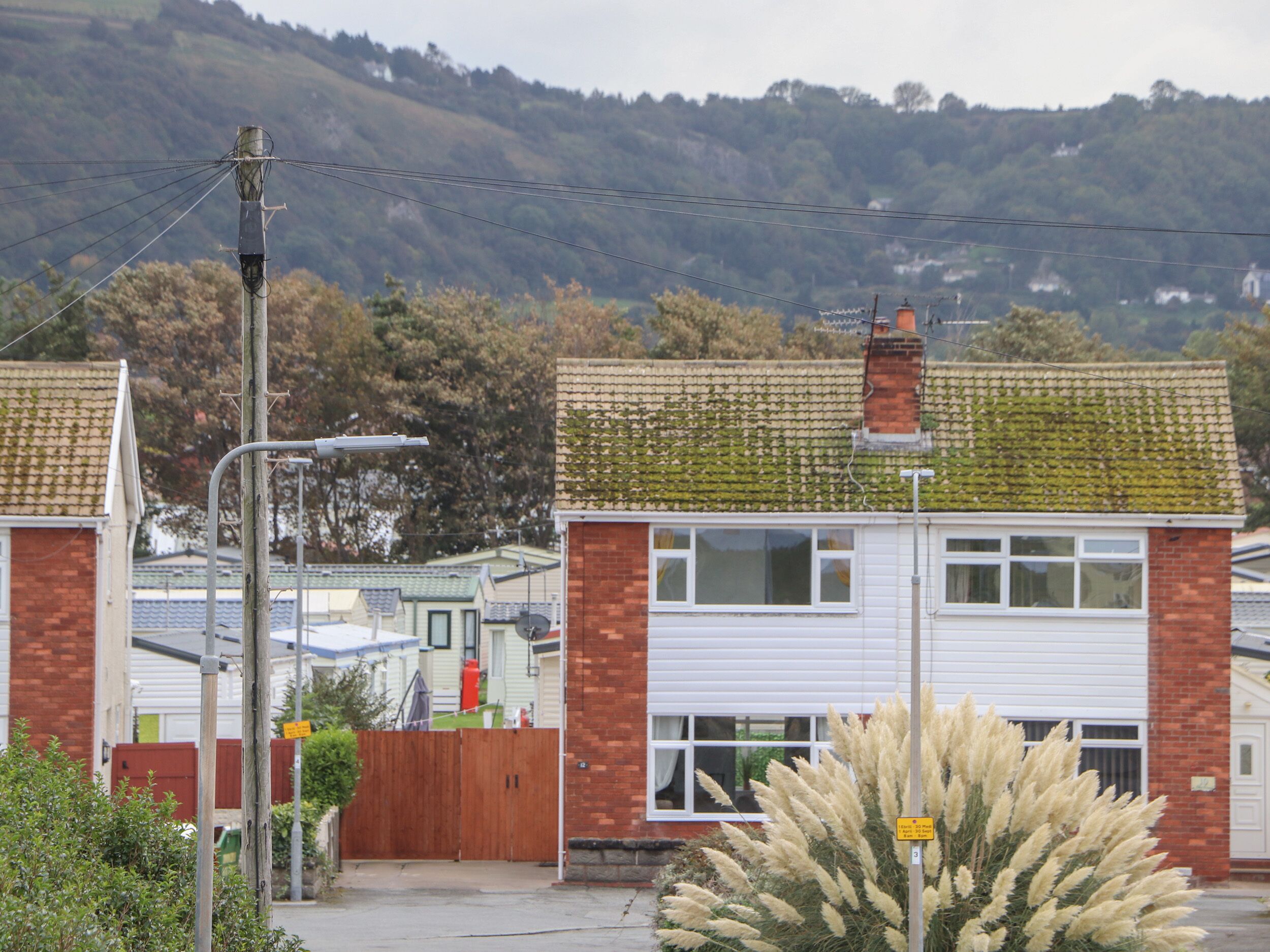 A residential area with houses, a street lamp, and a hill in the background.