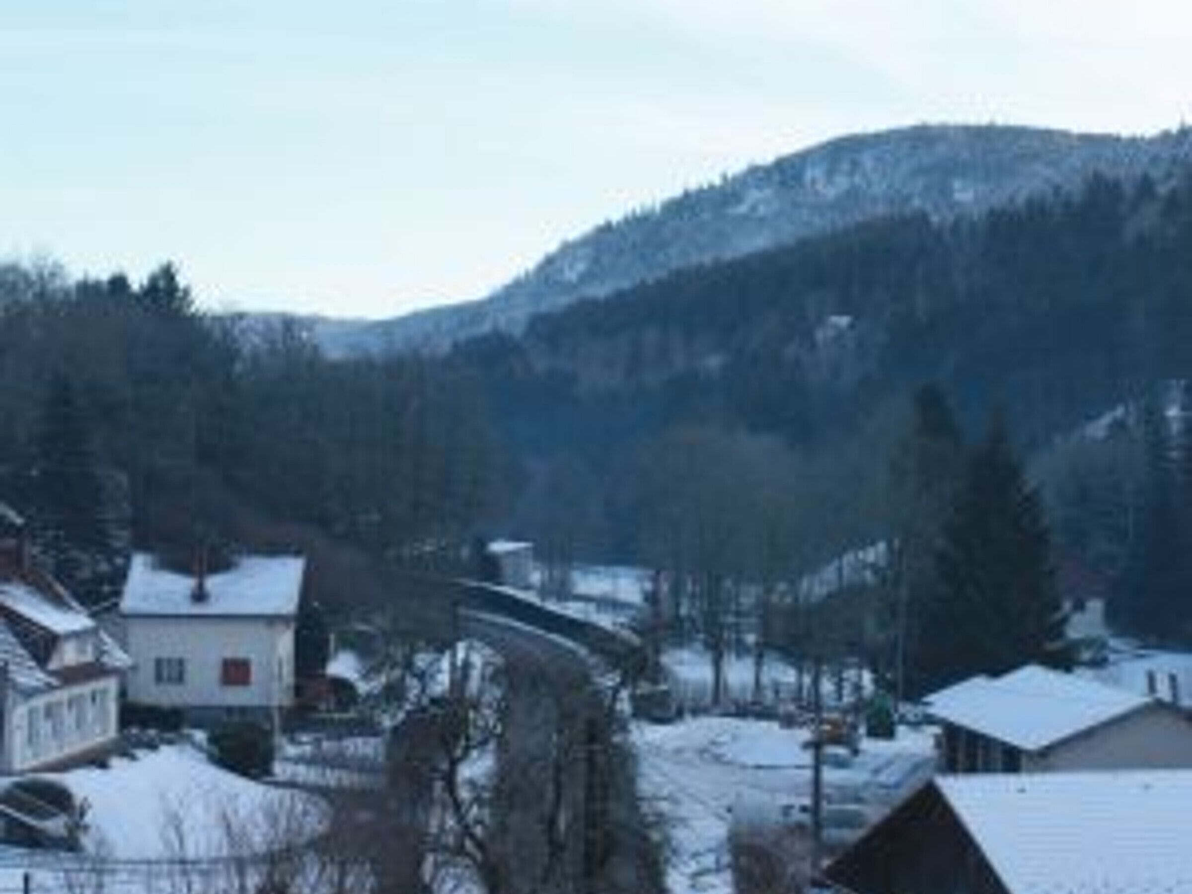 A residential area with houses, a road, and a mountain in the background.