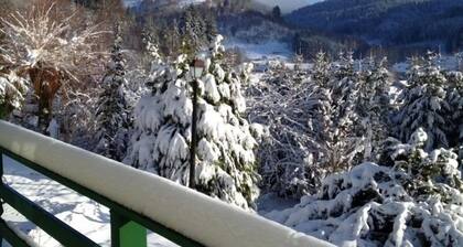 Maison de charme à Lubine, idéale pour randonnées et famille, proche Alsace et stations de ski