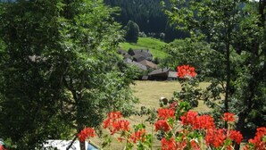 A rural landscape with a house surrounded by trees and a field.
