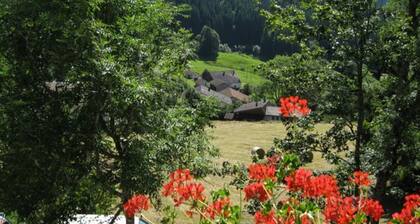 Geräumiges Chalet mit Balkon, kostenloses WLAN, in der Nähe von See und Skigebiet