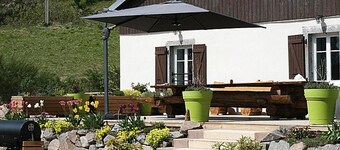Luxury Vosgian Farmhouse: Sauna, Jacuzzi, Games, Spacious Terrace, Pet-Friendly, Sleeps 16