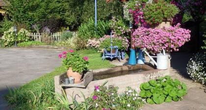 Gßte chaleureux avec cheminée, jardin, proche des randonnées Vosgiennes et attractions Alsaciennes